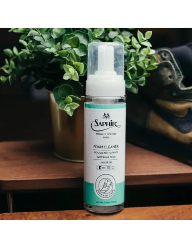 sneakers cleaning products