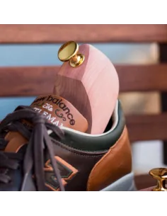 Sneakers Cedar Tree 2