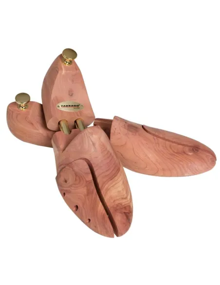 Sneakers Cedar Tree Sneakers Cedar Tree