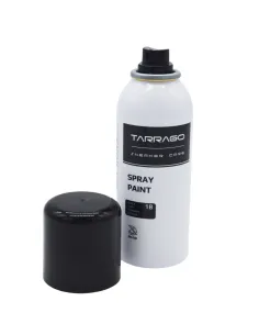 Sneakers Spray Paint