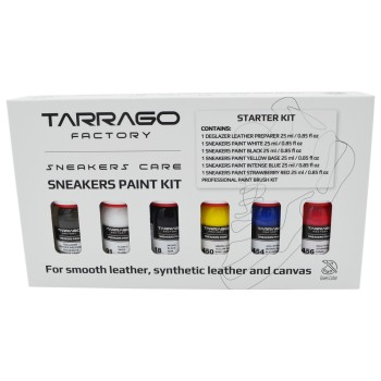 Sneakers Paint Starter Kit